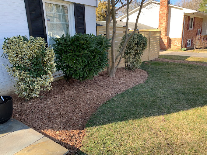 A house with a lawn and bushes in front of it